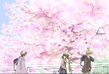 大菠萝福建导航在线